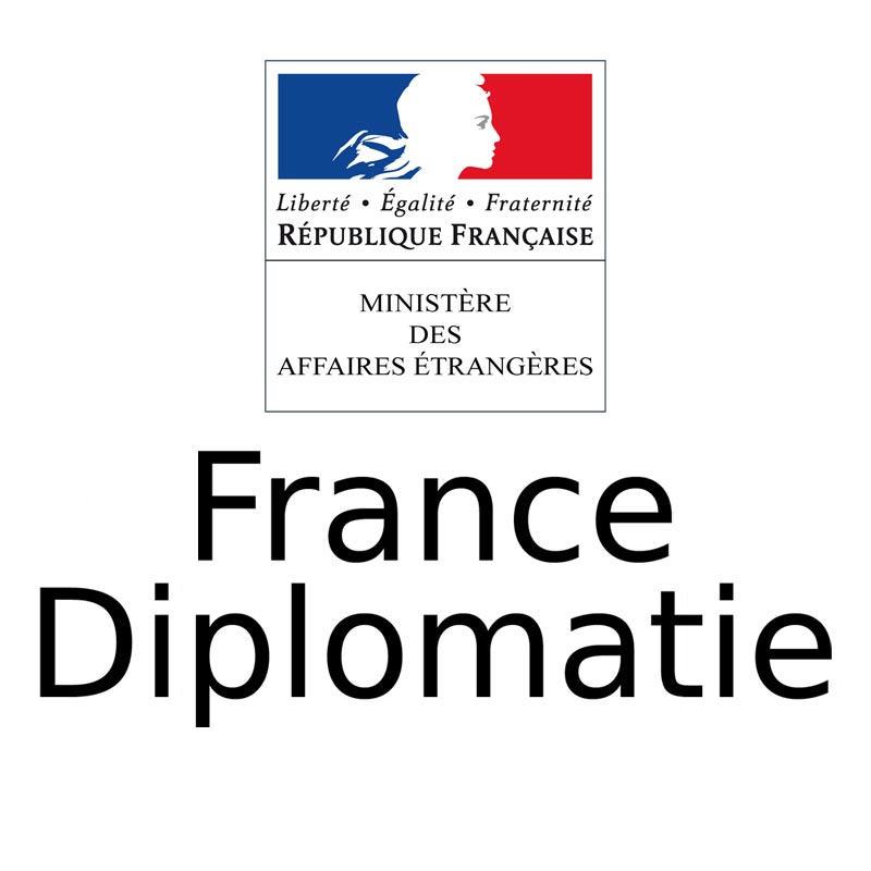 Logo diplomatie française